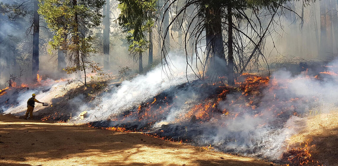 The fire burns across the forest floor, generating flames and smoke, but does