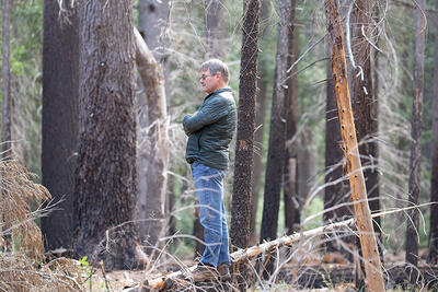 Scott Stephens at Blodgett Forest Research Station in late 2021.