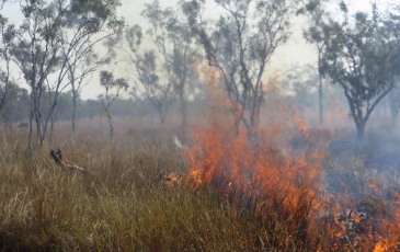 australia prescribed fire by Scott Stephens